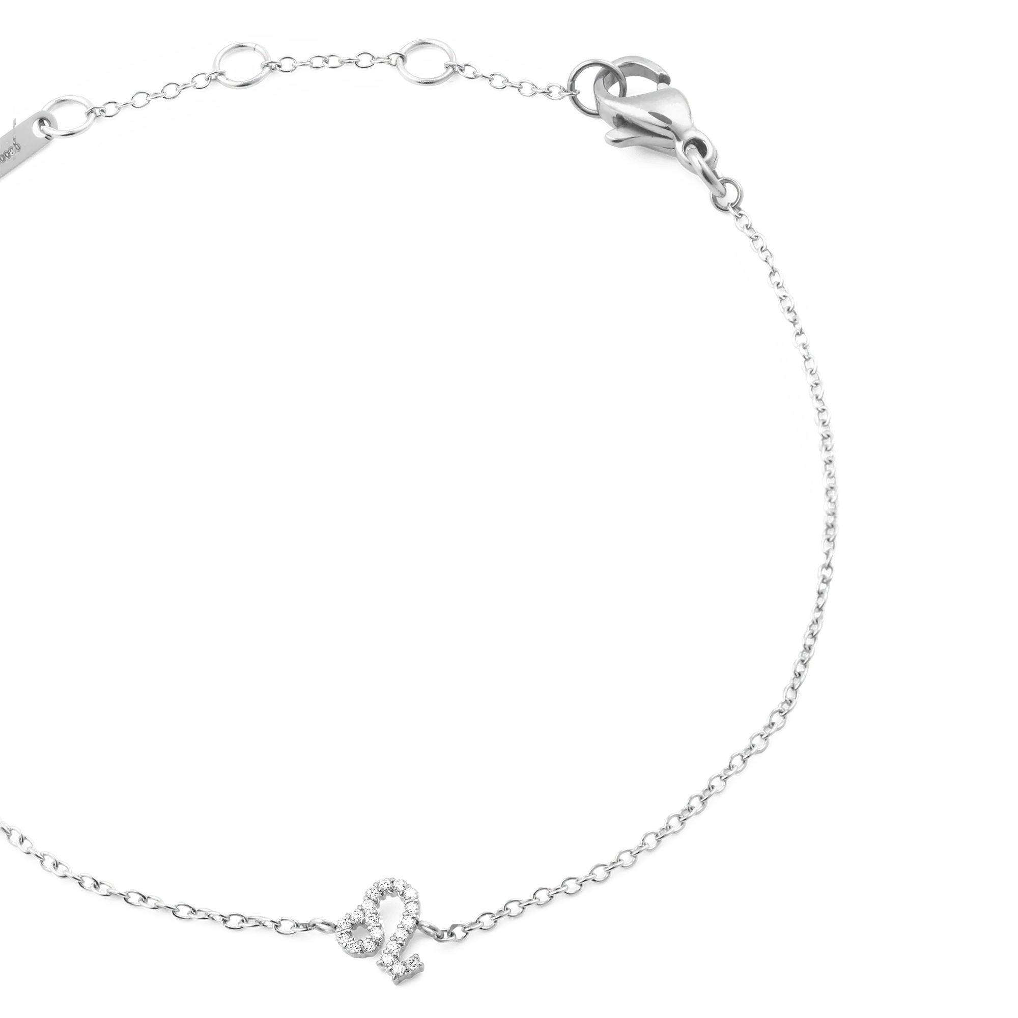 Crystal Zodiac Chain Bracelet Silver - Image 18