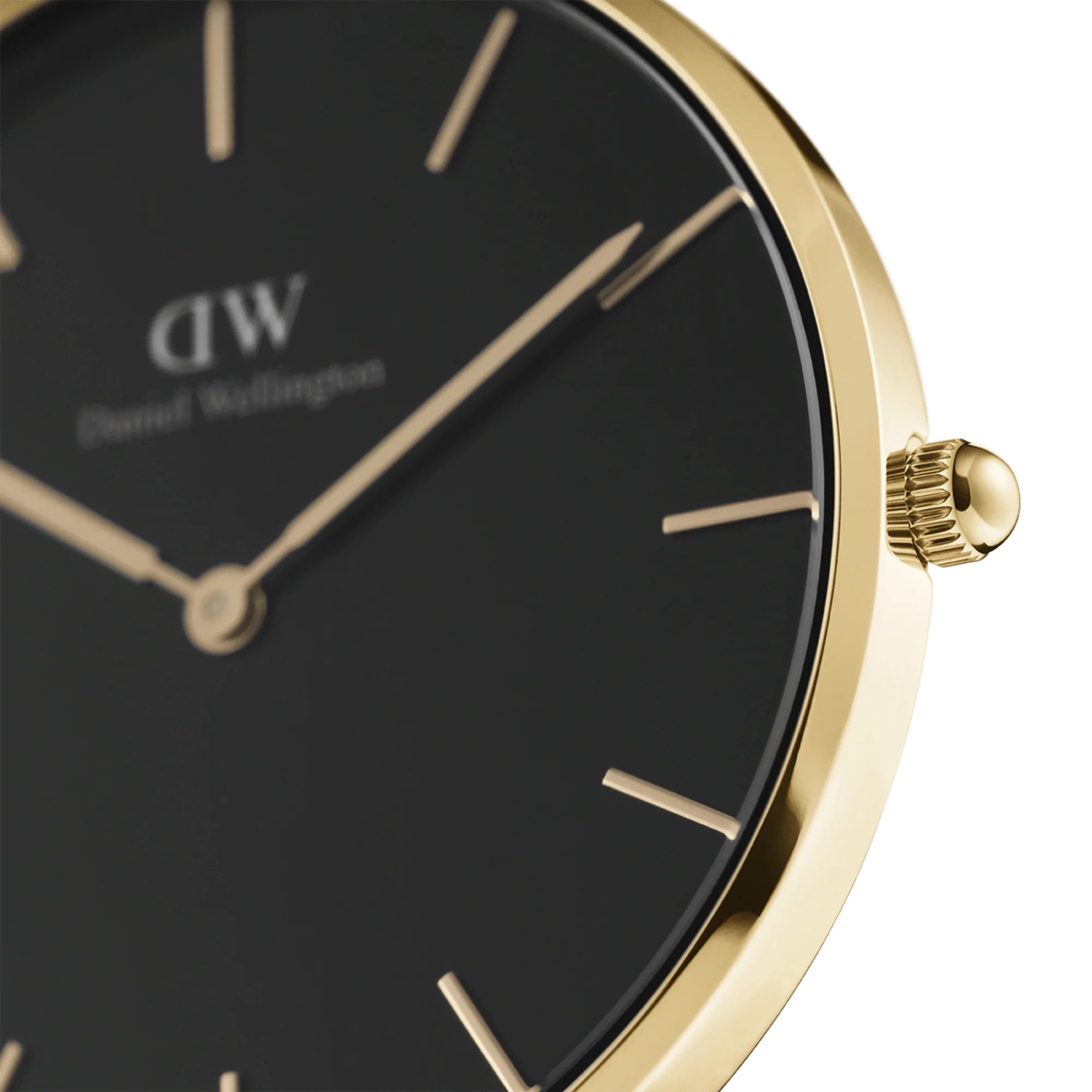 Petite Evergold Black - Image 2