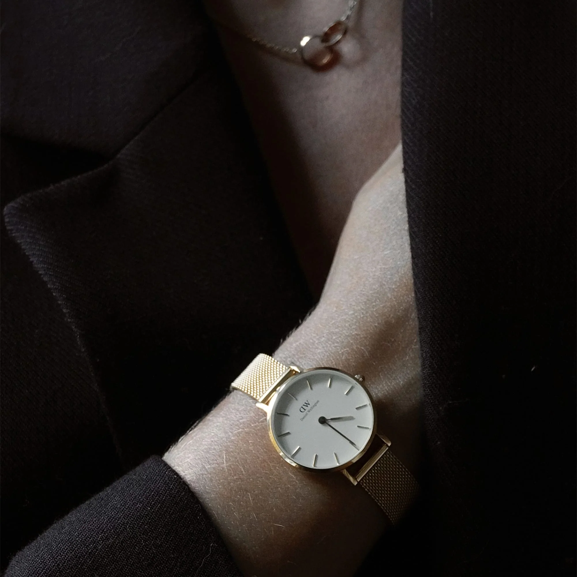Petite Evergold - Image 4