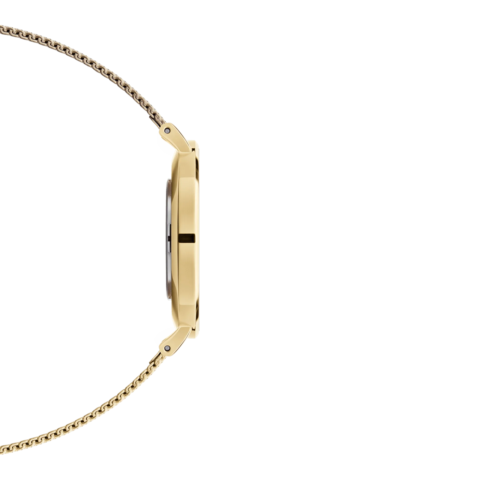 Petite Evergold - Image 6